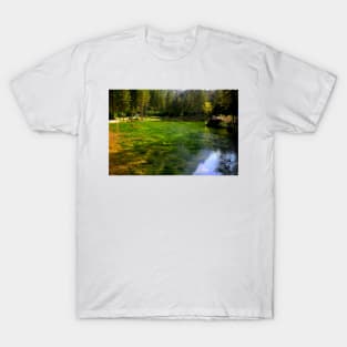 Lake of the Peschiere T-Shirt
